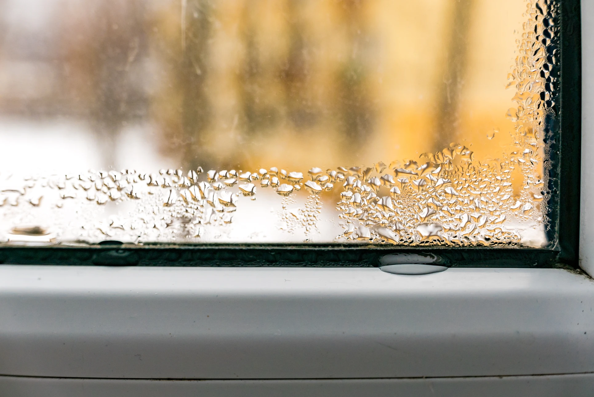 Façade d'immeuble résidentiel avec importantes taches d'humidité et infiltrations d'eau sur mur extérieur